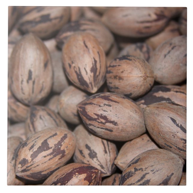 Azulejo Pecan Ceramic Tile (Frente)