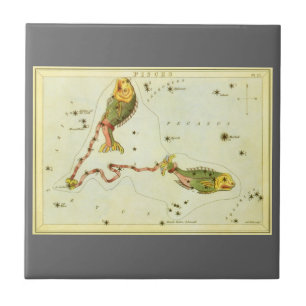 Azulejo Peces Piscis, Espejo de Urania de constelación vin