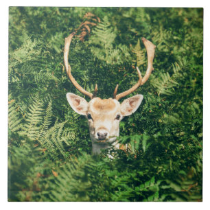 Azulejo Peek a Deer
