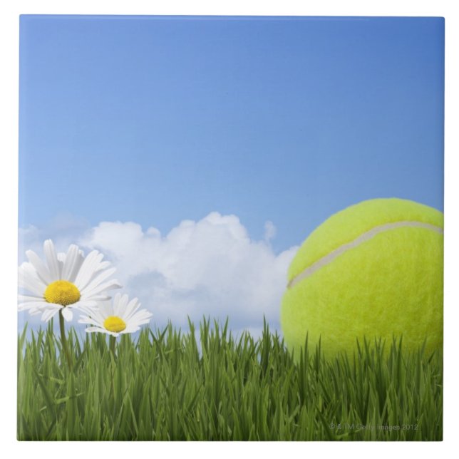 Azulejo Pelotas de tenis (Frente)