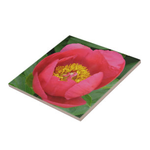 AZULEJO "PEONA PROFUNDA ROSA CON CENTRO DE ORO"