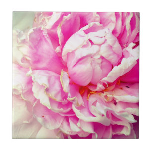 Azulejo Peonias rosas y blancas