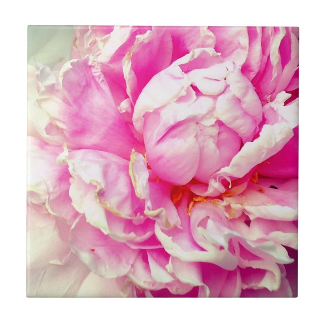 Azulejo Peonias rosas y blancas (Frente)
