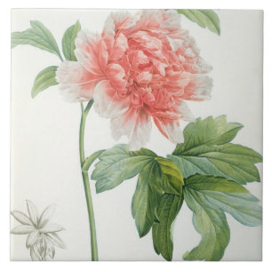 Azulejo Peony, 1799 (impresión del stipple del color)