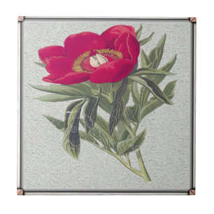 Azulejo Peony rojo
