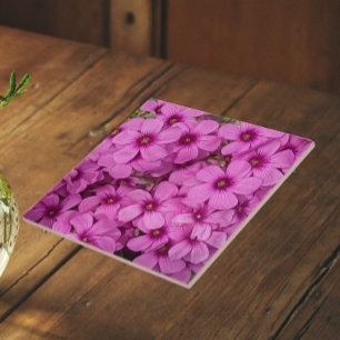 Azulejo Pequeñas flores de Oxalis rosadas Floral