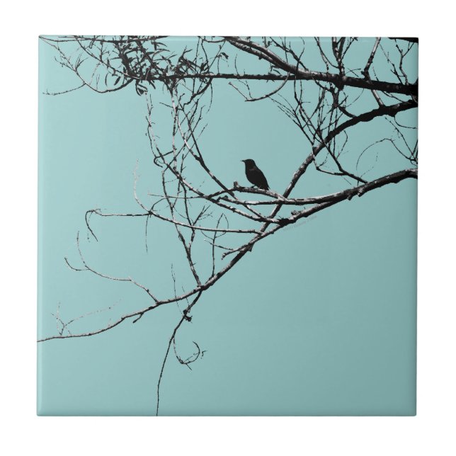 Azulejo Pequeño mosaico de aves negras (Frente)