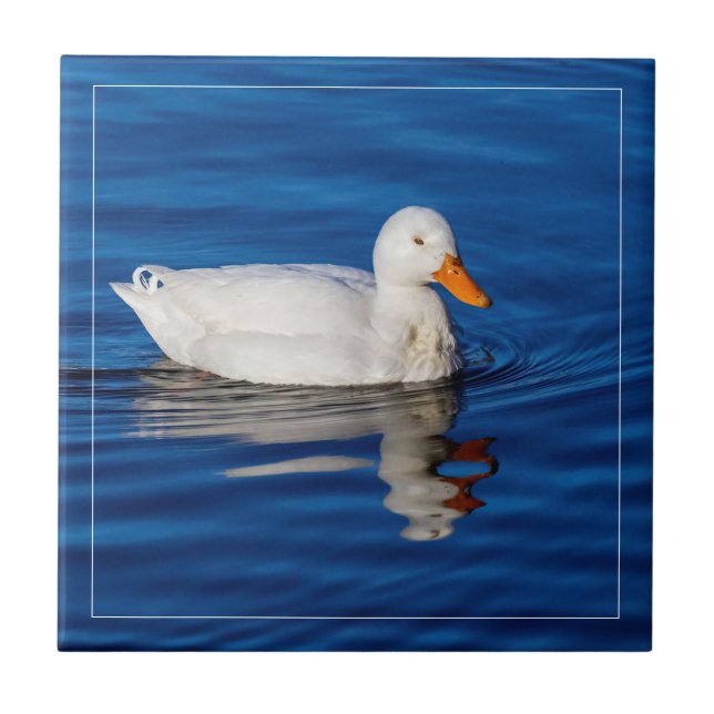 Azulejo Pequeño Pato Blanco En Agua Estridente (Frente)