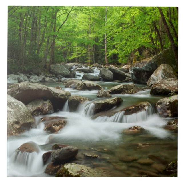 Azulejo Pequeño río de paloma en Greenbrier (Frente)