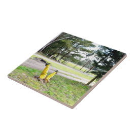 Azulejo Perdido en el jardín otra vez