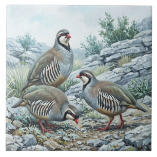 Azulejo Perdiz Griega ,Alectoris Graeca Aves de Caza