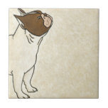 Azulejo Perfil del Bulldog francés mirando hacia arriba<br><div class="desc">Chariklia Zarris sabe cómo captar la mejor emoción en cada uno de sus dibujos. No es una excepción en este sencillo y contemporáneo dibujo de un bulldog francés.  Consigue esta imagen con la temática del perro en tu producto de Zazzle hoy.</div>