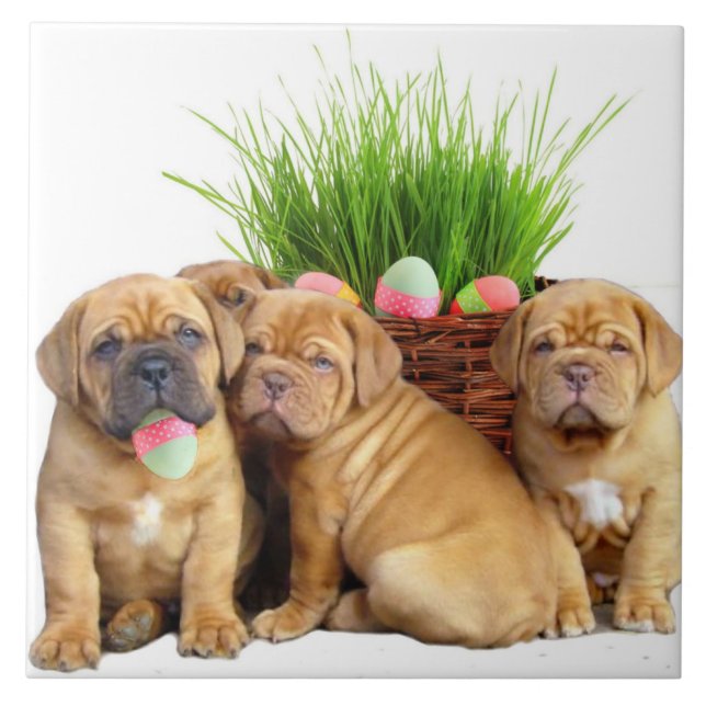 Azulejo Perritos de Pascua Dogue de Bordeaux (Frente)