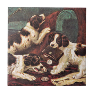 Azulejo Perritos del organismo