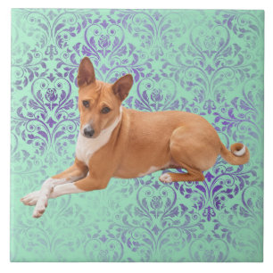 Azulejo Perro Basenji