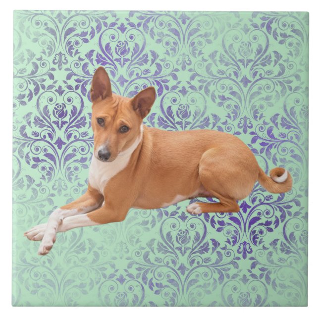 Azulejo Perro Basenji (Frente)