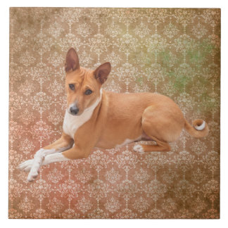 Azulejo Perro Basenji