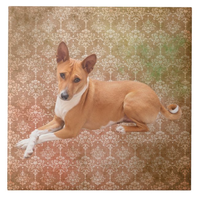 Azulejo Perro Basenji (Frente)