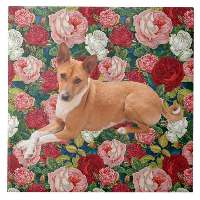 Azulejo Perro Basenji (Frente)