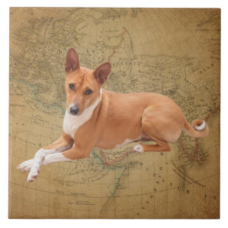 Azulejo Perro Basenji