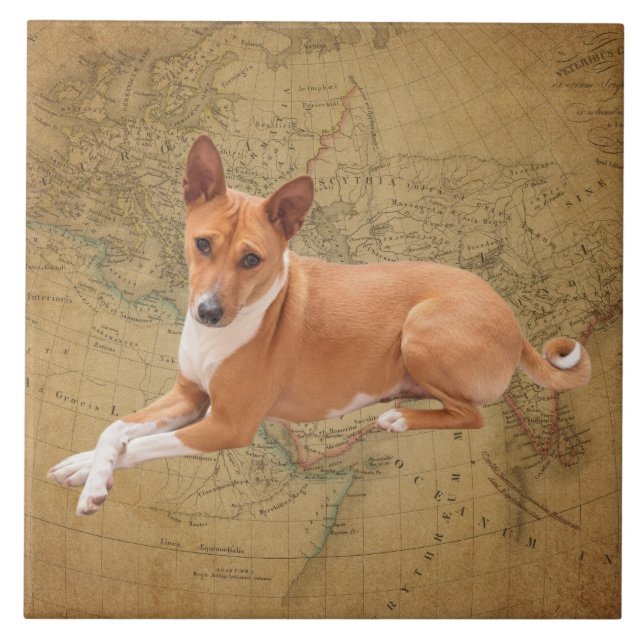 Azulejo Perro Basenji  (Frente)