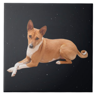 Azulejo Perro Basenji 