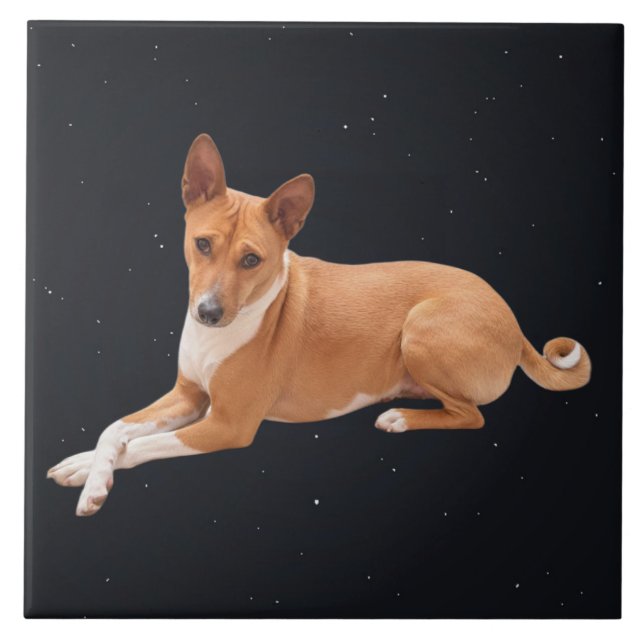 Azulejo Perro Basenji  (Frente)