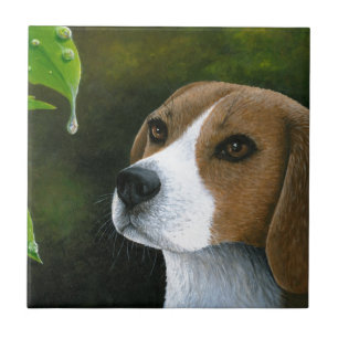 Azulejo Perro Beagle 116