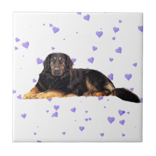 Azulejo Perro con corazones morados que caen