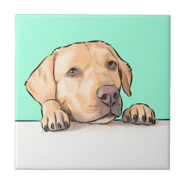 Azulejo Perro curioso