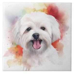 Azulejo Perro de agua maltés blanco acuarela mascota