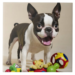 Azulejo Perro de Boston Terrier jugando con juguetes