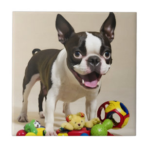 Azulejo Perro de Boston Terrier jugando con juguetes