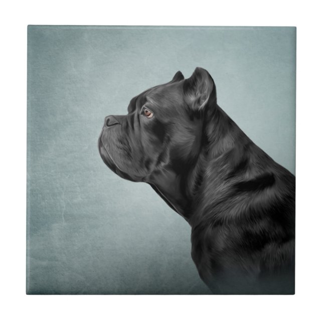 Azulejo Perro de dibujo Canso Corso - Mastiff italiano (Frente)