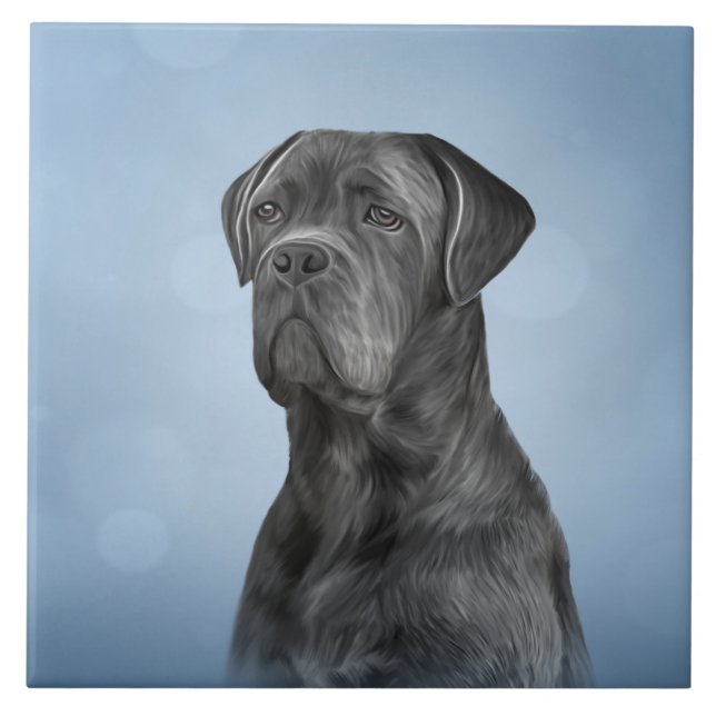 Azulejo Perro de dibujo Canso Corso - Mastiff italiano (Frente)