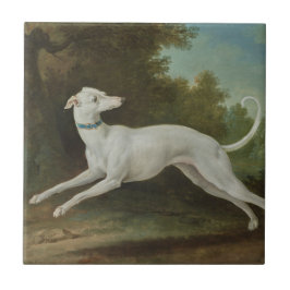 Azulejo Perro de Greyhound blanco (por Jean-Baptiste Oudry