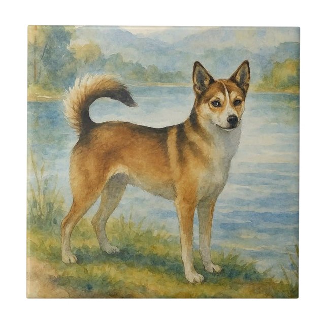 Azulejo Perro de Noruega Lundehund (Frente)