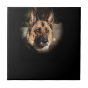 Azulejo Perro de pastor alemán