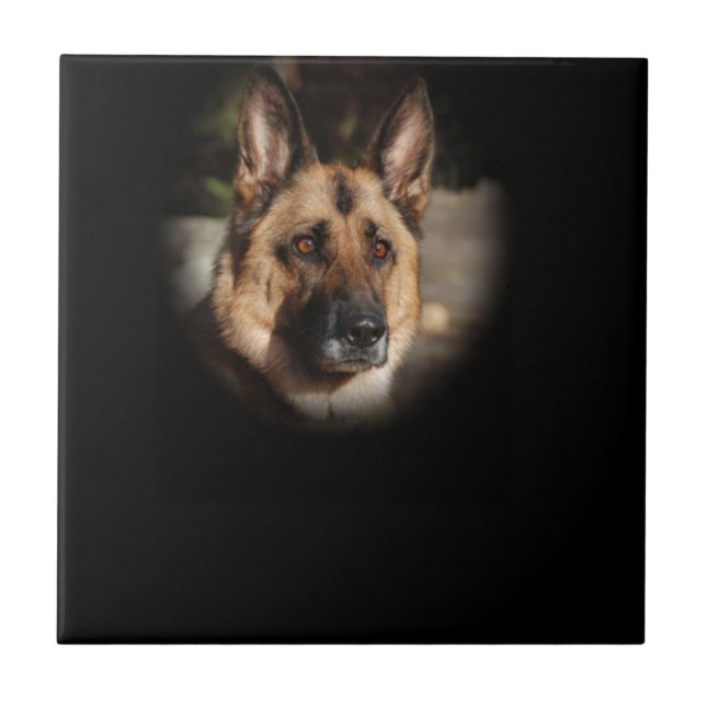Azulejo Perro de pastor alemán (Frente)