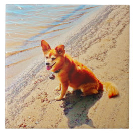 Azulejo ¡Perro de Pomchi!