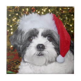 Azulejo Perro de Shih Tzu del navidad