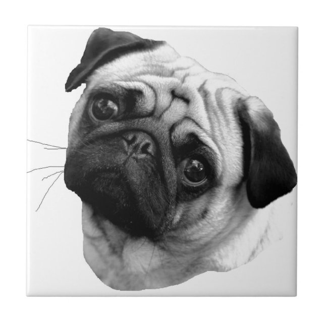 Azulejo Perro del barro amasado (Frente)