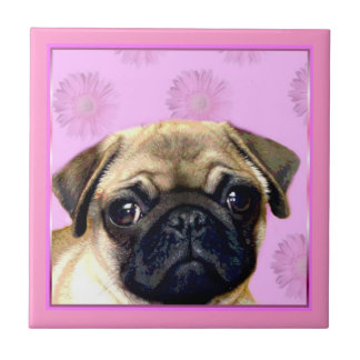 Azulejo Perro del barro amasado