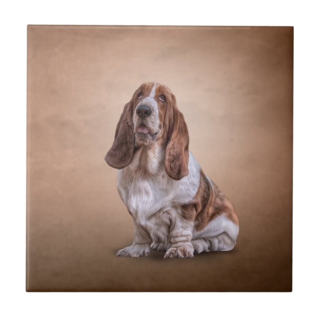 Azulejo Perro divertido de dibujo de Basset Hound (Frente)