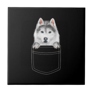 Azulejo Perro Husky Siberiano En El Bolsillo  Gracioso reg