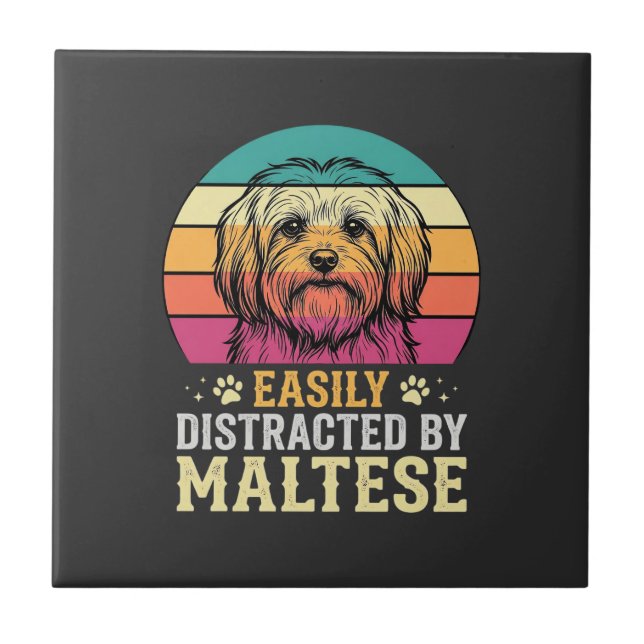 Azulejo Perro maltés distraído en puesta de sol retro (Frente)