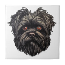 Perro mono Affenpinscher Affens Terrier