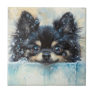 Azulejo Perro panomerano en la bañera