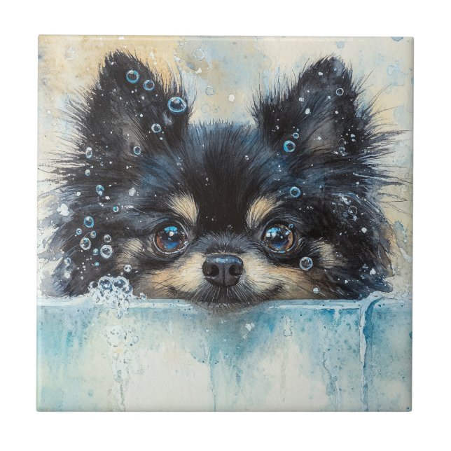 Azulejo Perro panomerano en la bañera (Frente)