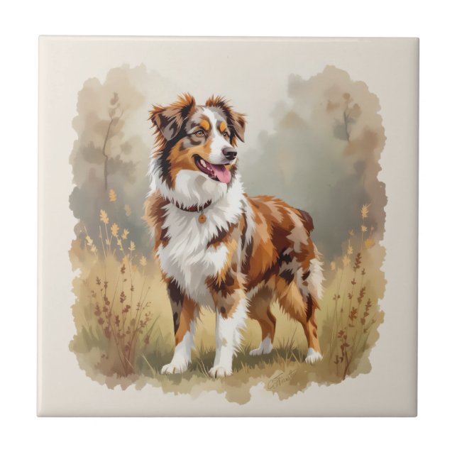Azulejo Perro Pastor Australiano Merle Rojo Aussie (Frente)